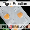 Tiger Erection 24